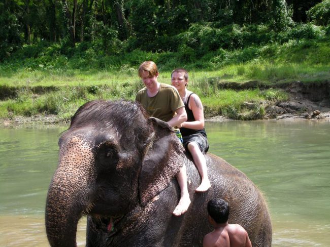 Jungle Safari